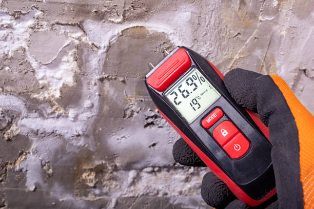 Best Air Quality Testing for Mold Spores  in Montgomeryville, PA